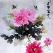 花开富贵 人无再少年（D