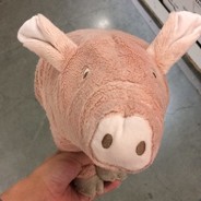 校长室玩滑雪的穿山甲鱼