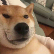 去码头整点薯条