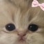 dppskd's avatar
