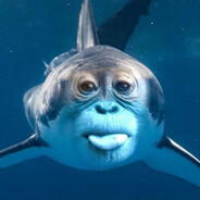 шляповёрт12