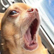 PeekaBoo - steam id 76561198775894918