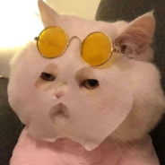 直呼可惜的水平