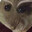 Mastur Splinter