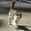 kang020325