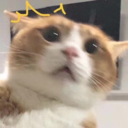 帝国叛忍生姜桑