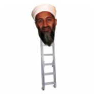 osama bin ladder