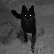 Don't Ask For Permission // TRNQ