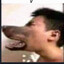 Roflex