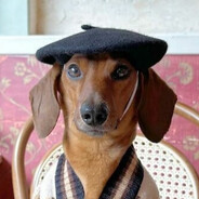 nvlnvl - steam id 76561198148773600