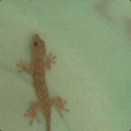 拔剑四顾心茫然