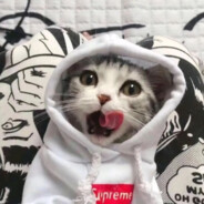 党和人民的步伐6