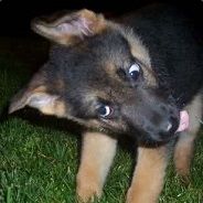 Hicks - steam id 76561197962976992