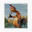 NoVanity avatar