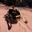 boban_06