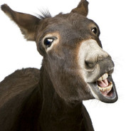 重生之游戏不好玩