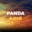 Panda_adir