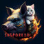 snspork20