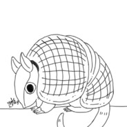 你家養的穿山甲