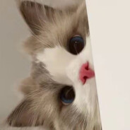 别吵我只会刷盘