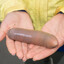 Agnis "Larvae" Everdine