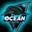 Team [Ocean] Flipper
