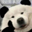 金山第一望远镜
