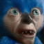 RETARDED SONIC