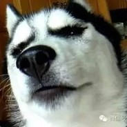 我给仿你爹年轻时候