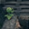 wesall avatar