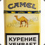 CAMEL