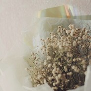 排骨和可乐鸡翅