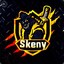 TheSkenyX