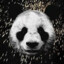 PandaGhost