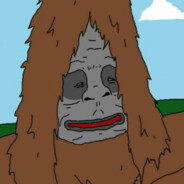st braided pubes