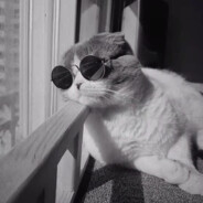 中華人民共和国万歳で