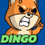 DINGO