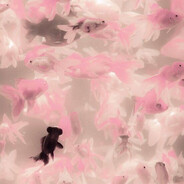 Dup's avatar