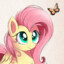 Fluttershy