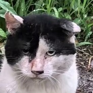 杀马特团长（江南第一