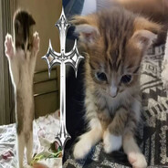 I feel so bad#bummerrust