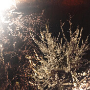 72incidents - steam id 76561199375840819