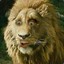 ✩LION✩