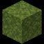 block.minecraft.moss_block