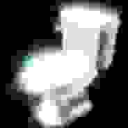 Spinning Polish Toilet