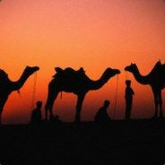 [RESTLESS] Chamouixp