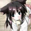 Avatar of player фларя
