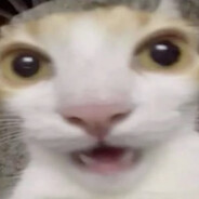 paranoia - steam id 76561198361368853