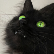 想去月球上看不下垂的奈子