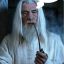 Gabba Gandalf☺